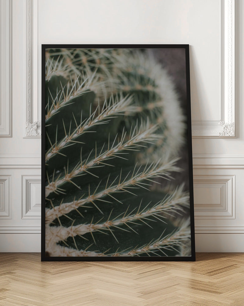 Cactus II Poster